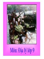 Tiết 40: Vùng Đồng bằng sông Cửu Long