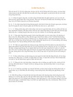 Coi Bói Theo Họ Tên