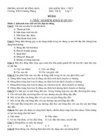 đề kiểm tra lý THCS 1 tiết