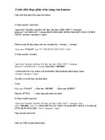 Code chữ chạy trên cùng baner