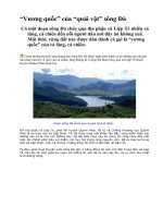 VƯƠNG QUỐC QUÁI VẬT SÔNG ĐÀ