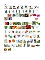 PICTURES-E6(UNIT 9-UNIT 12).