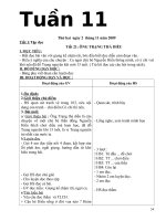 giao án tuần 11 chuẩn KTKN