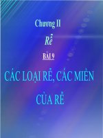 CÁC LOẠI RỄ VÀ MIỀN HÚT CỦA RỄ