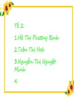 Quần thể ngựa vằn Hartmann ở Châu Phi