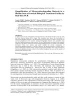 Quantification of Microcystin-degrading Bacteria in a Biofilm from a Practical Biological Treatment Facility by Real-time PCR