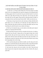 GIẢI PHÁP NÂNG CAO HIỆU QUẢ SỬ DỤNG TSCĐ TẠI CÔNG TY CAO SU SAO VÀNG