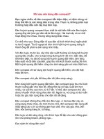 Khi nào nên dùng đèn compact