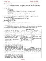 Tuần 16 đến tuần 19