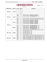 Môn THỦ CÔNG - KĨ THUẬT Tháng 11