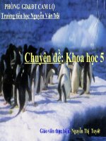 Khoa học: Sự sinh sản của thú