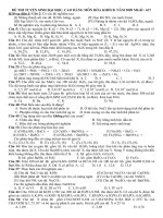 (2 TRANG IN) HOA B 2009 PND-10-11-12