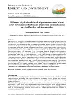Different physical and chemical pretreatments of wheat straw for enhanced biobutanol production in simultaneous saccharification and fermentation