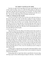 SỨC KHOẺ VÀ ĐÁNH GIÁ SỨC KHOẺ