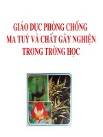 Tập huấn phòng chống ma tuý B6