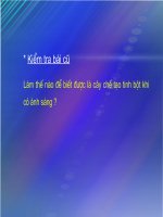 Quang hợp - Tiết 24