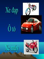 Trường từ vựng