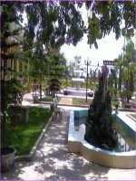 So luoc bang tuan hoan NTHH(Bai 31-tiet 39)Giai nhat cap huyen