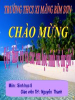 Tiêu hoá thức ăn trong khoang miệng