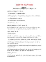 LUẬT THI ĐẤU WUSHU