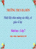 Cấu tạo trong của chim bồ câu- Sinh 7