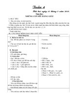 GA lớp 5 tuần 4 (chuẩn KTKN)