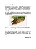 MÓN ĂN BỔ HUYẾT TRÁNG DƯƠNG