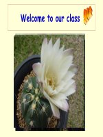 English 9- Unit 2-Read