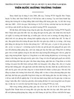 TRUONG NGUYEN D THUAN VUBAN NAM DINH.doc