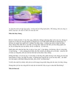 SẮC MÀU TÌNH YÊU