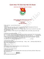 cách thức tổ chức đại hội chi đoàn
