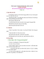 Giáo án mầm non (19)