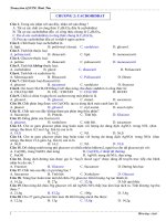 Ôn tập Cacbohiđrat (gdtx)