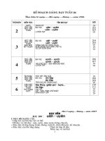 Tuần 24 lớp 1 SN