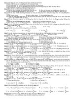 kiem tra phan con lac don rat hay