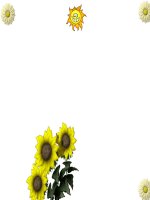 ĐA DẠNG VÀ ĐẶC ĐIỂM CHUNG LỚP CHIM