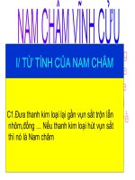 Nam châm vĩnh cửu