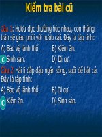 sinh 11_TH_ xem phim tap tinh DV