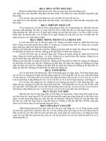 những bài hát đội