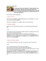 Phân biệt các từ đồng nghĩa