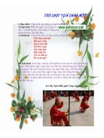 Trò chơi :Giã chày một