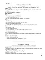 Ga buoi  2 tuan 1,2,3 (2009)