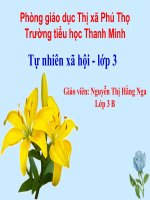 Hoạt động nông nghiệp (Tiết 30)