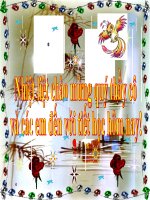 bai 8 NUOC MI (Theo chuan kien thuc)