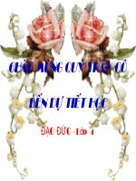 Bảo vệ môi trường - Đạo đức 4