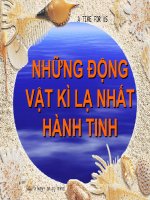 NHỮNG ĐỘNG VẬT KÌ LẠ NHẤT HÀNH TINH