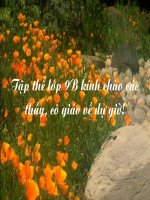 Đại số 9 tiết 15: căn bậc hai