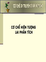 Cơ chế lai phân tích