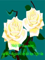 SỐNG CHẾT MẶC BAY - VĂN 7