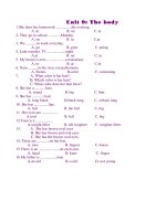 nhieu de thi lop 6 HK2 (P)